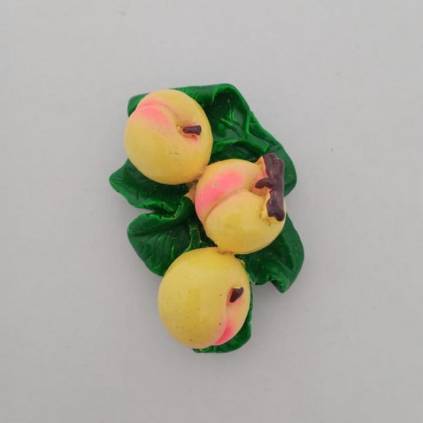Fridge Magnet - Fruits