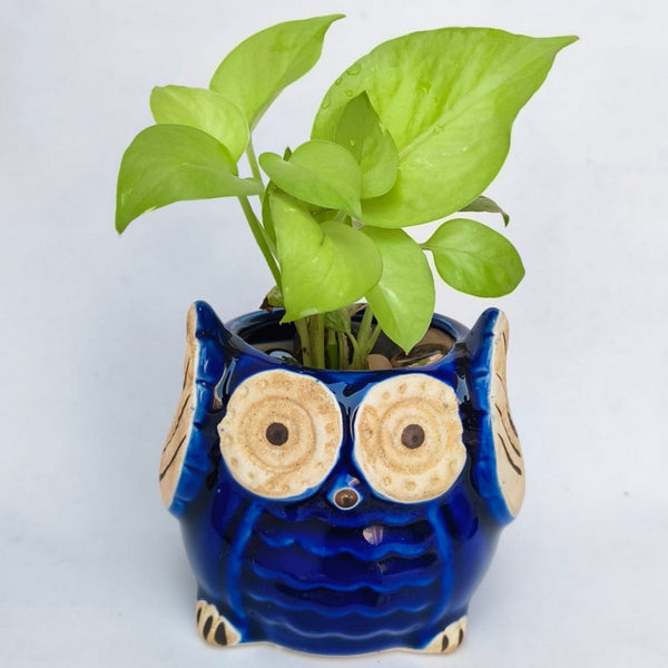 Ceramic Planter