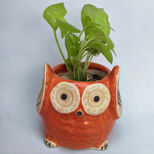 Ceramic Planter