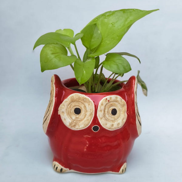 Ceramic Planter