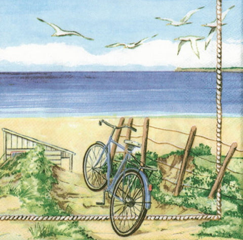 Cycle and Seashore 33 X 33 cm