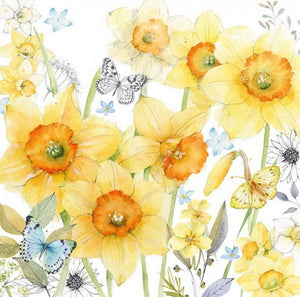 Daffodils 33 X 33 cm
