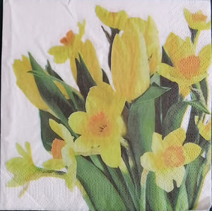 Tulip Yellow 33 X 33 cm