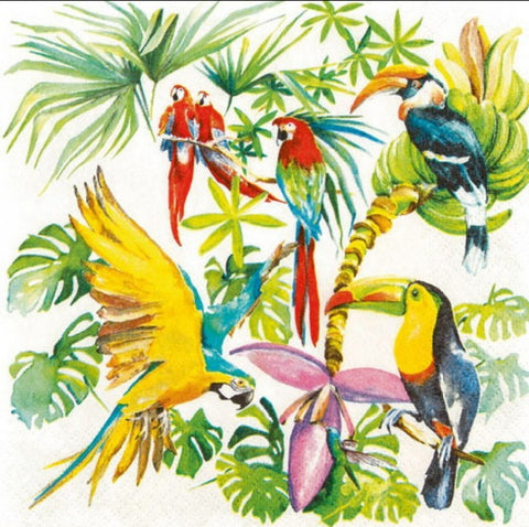 Birds of Paradise 33 X 33 cm