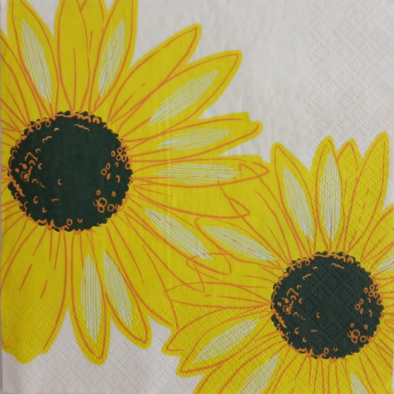 2 Sunflowers 33 X 33 cm