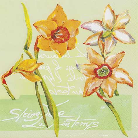 Daffodil in Spring 33 X 33 cm
