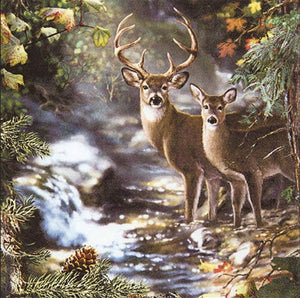 Deer 33 X 33 cm