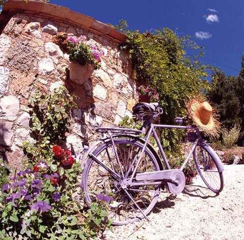 Bike in Provence 33 X 33 cm