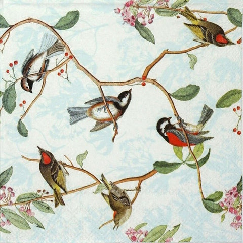 Birdsong 33 X 33 cm