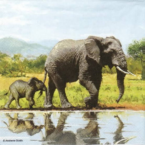 Elephant 33 X 33 cm