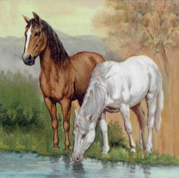 Horses-1 33 X 33 cm