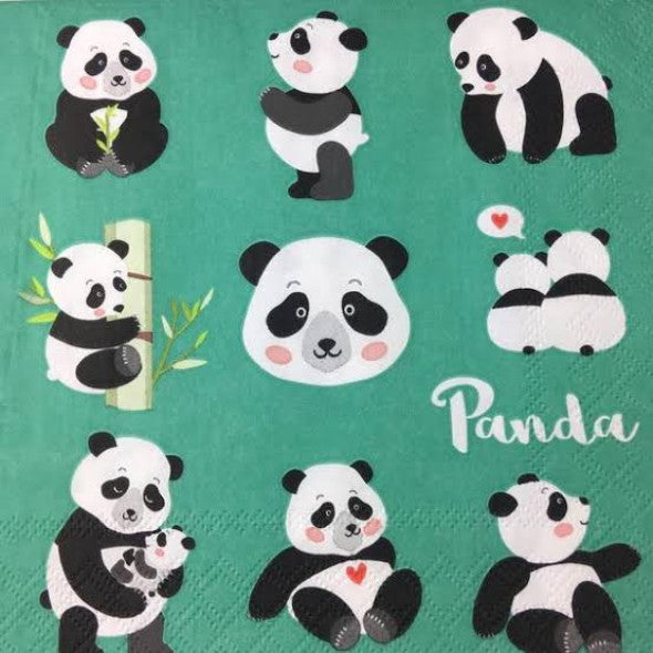 Panda 33 X 33 cm