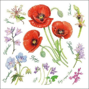 Poppy Harmony 33 X 33 cm