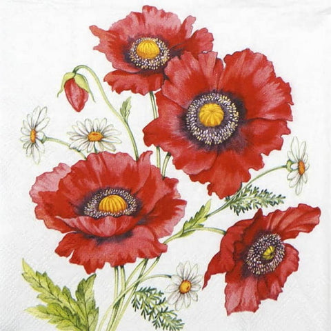 Poppy Scene 33 X 33 cm