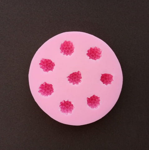 Silicon Mould - Raspberry