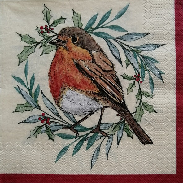 Robin 33 X 33 cm