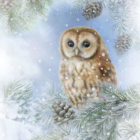 Tawny Owl 33 X 33 cm
