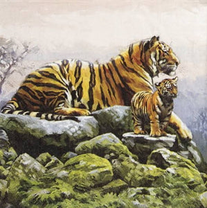 Tigers 33 X 33 cm