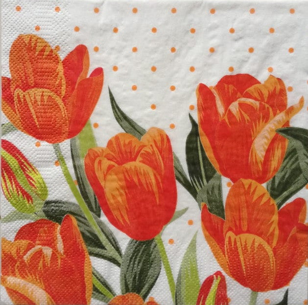 Tulip - Orange 33 X 33 cm