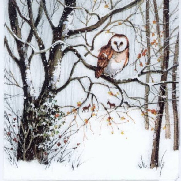 Winter Owl 33 X 33 cm