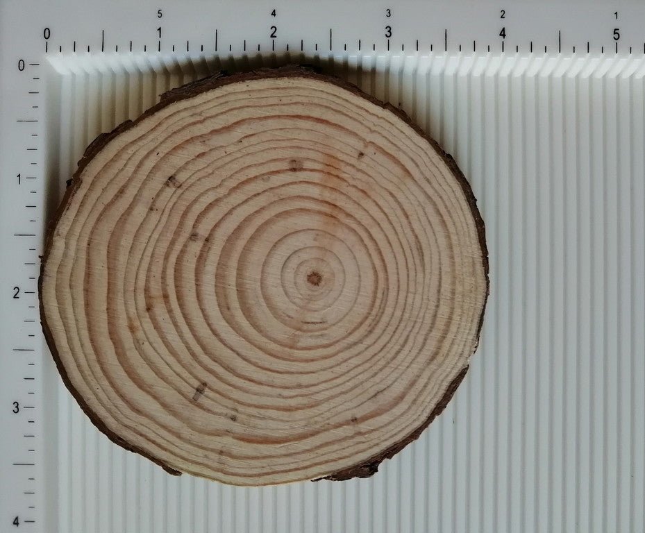 Wooden Slice - 3.5"