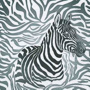 Zebra 33 X 33 cm